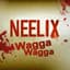 Neelix