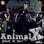 Animal X