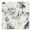 Taylor Deupree
