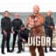 Grupa Vigor