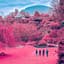 The Zolas