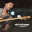 Marcus Miller