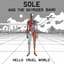 Sole And The Skyrider Band