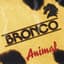Bronco
