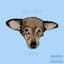 Updog