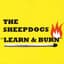 The Sheepdogs