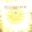 Planisphere