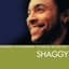 Shaggy
