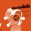 Stereolab