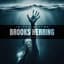 Brooks Herring