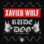 Xavier Wulf