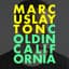 Marcus Layton