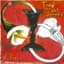 Toad The Wet Sprocket