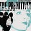 The Primitives