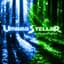 Umbra Stellar