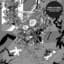 Thee Oh Sees
