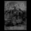 Black Tribe