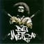 Big Metra