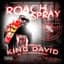 King David