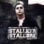 Stallker