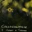 Collisionville