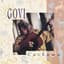 Govi
