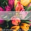 Johann Sebastian Bach