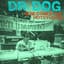 Dr. Dog