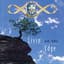 The Irish Descendants