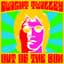 Dwight Twilley