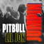 Pitbull