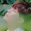 Kim Sung Kyu