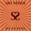 Lost Witness