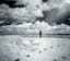 Dhafer Youssef