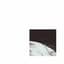 halberd