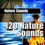 Nature Sounds