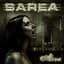 Sarea