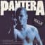 Pantera