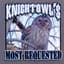 Mr. Knightowl