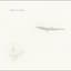 Overhead, The Albatross