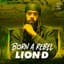 Lion D