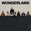 Wonder 45