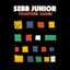 Sebb Junior