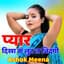 Ashok Meena