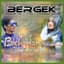 Bergek