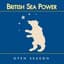 British Sea Power