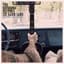 The Reverend Peyton's Big Damn Band