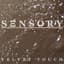 SENSORY