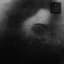 How to Disappear Completely