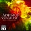 Karl Jenkins
